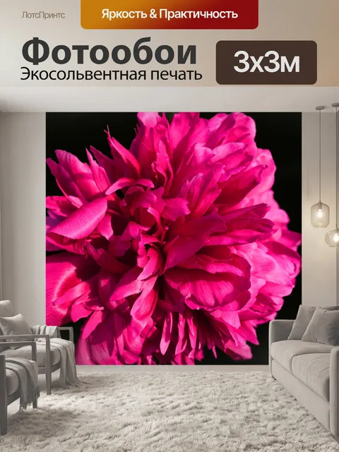 Фотообои Общий пион