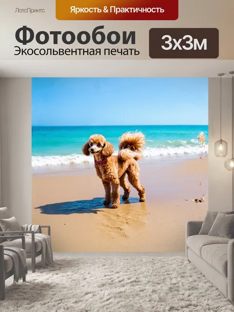 Фотообои миниатюрный пудель, наслаждающийся прогулкой по пляжу с мокрым песком, представлен в стильном жанре уличной…