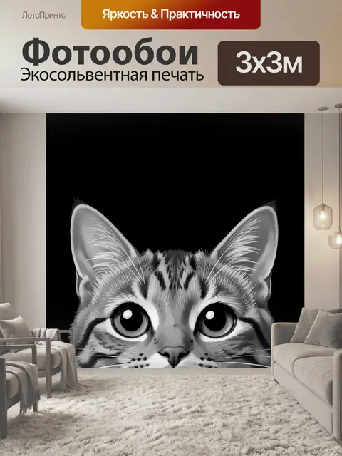 Фотообои Любопытный серый кот крупным планом