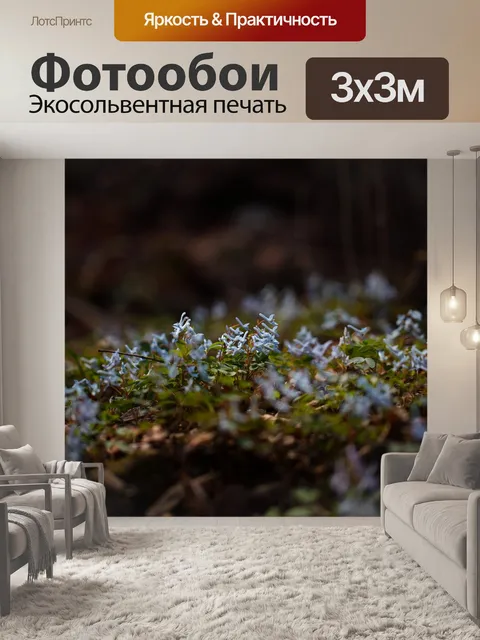 Фотообои Цветок