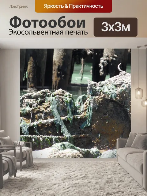 Фотообои Водоросли Крытая Шор мусора