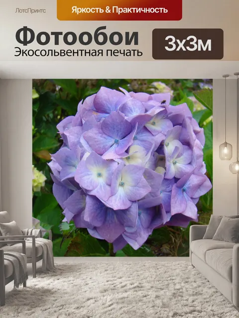 Фотообои Гортензия 2