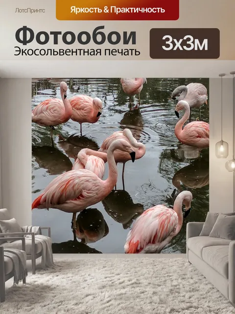 Фотообои Фламинго