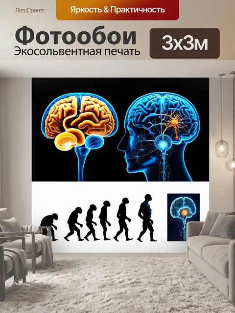 Фотообои изображение, на котором раскрывается процесс эволюции мозга: от простейших форм жизни до современных…