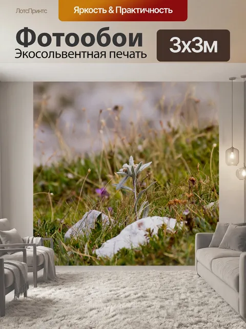 Фотообои Природа