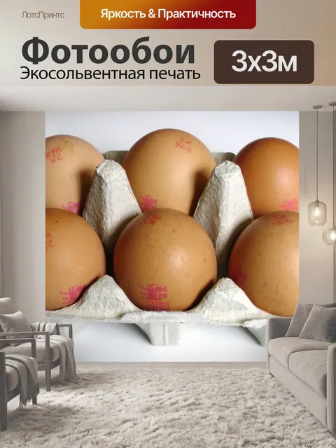 Фотообои Яйца в лотке