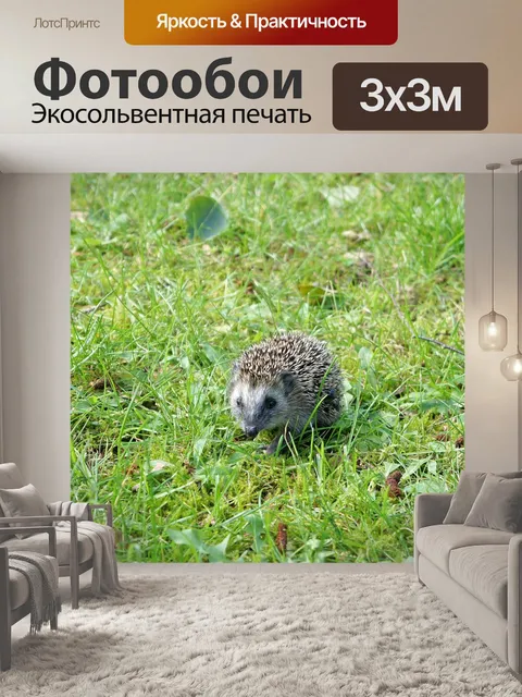 Фотообои Трава