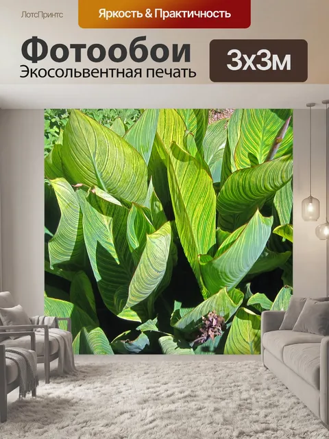 Фотообои Большие листья канны с желтым