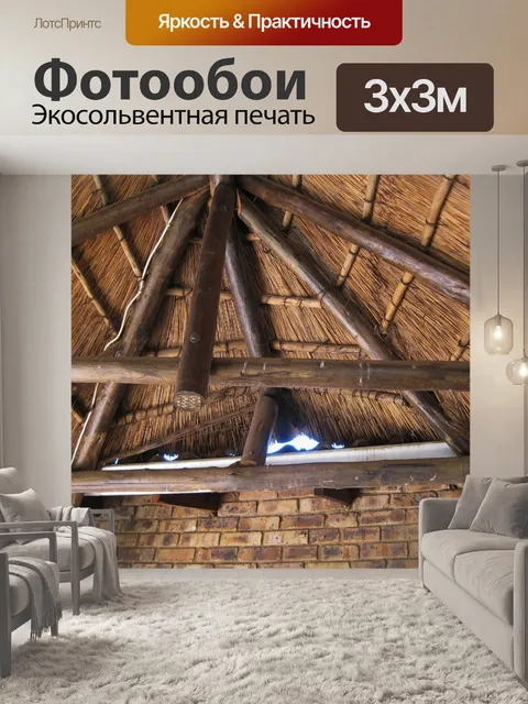 Фотообои Лапа интерьер крыша