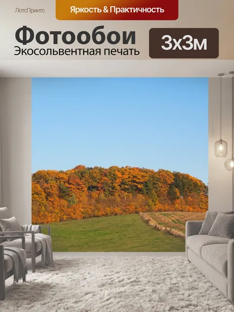 Фотообои Лиственный лес