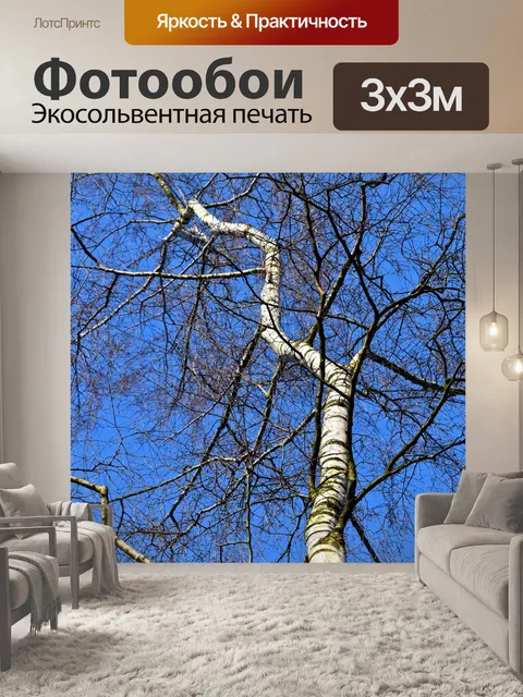 Фотообои Береза