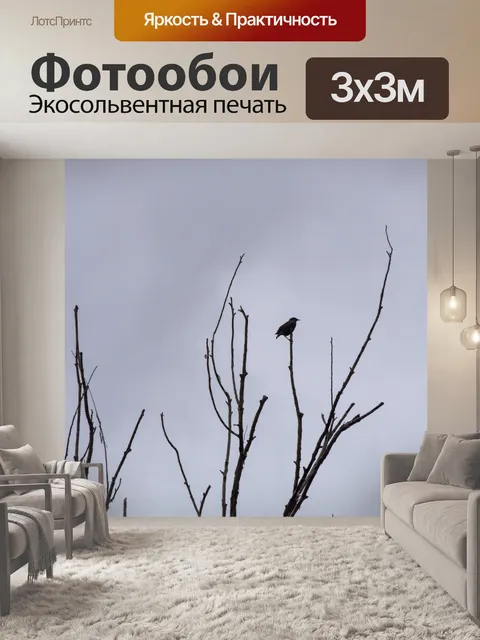Фотообои Силуэт птицы