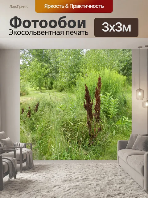 Фотообои Дикая красота (3)