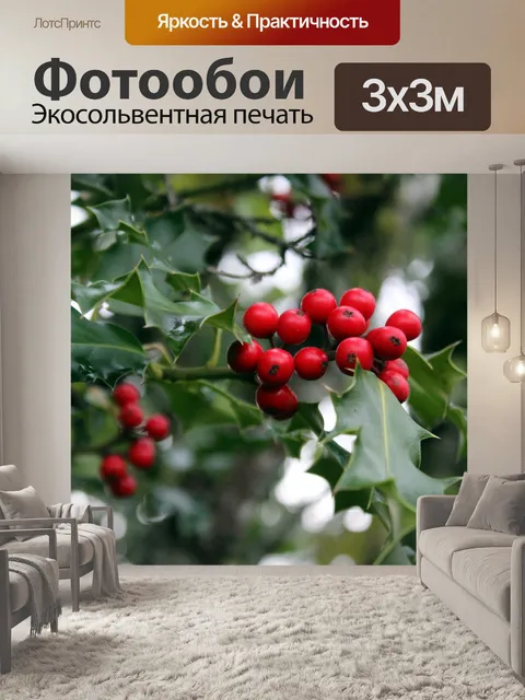Фотообои Крупным планом Холли ягоды