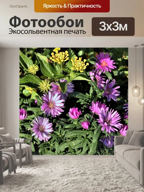 Фотообои Фиолетовые астры и желтая Лантана 2