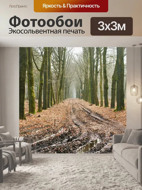 Фотообои Лес