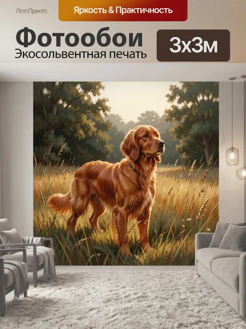 Фотообои Золотистый ретривер на лугу