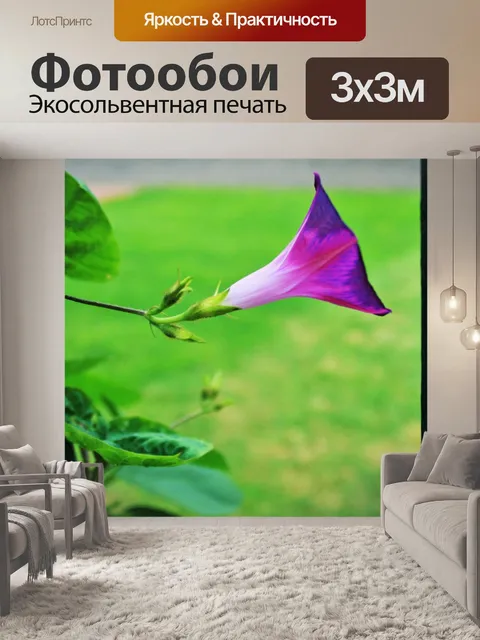 Фотообои фиолетовый ипомеи труба