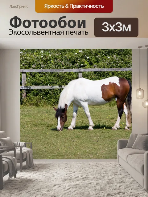 Фотообои Выпаса лошадей