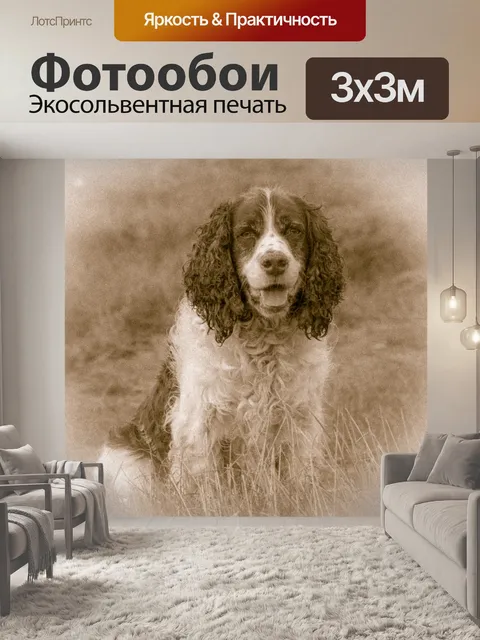 Фотообои Собака Vintage Фото