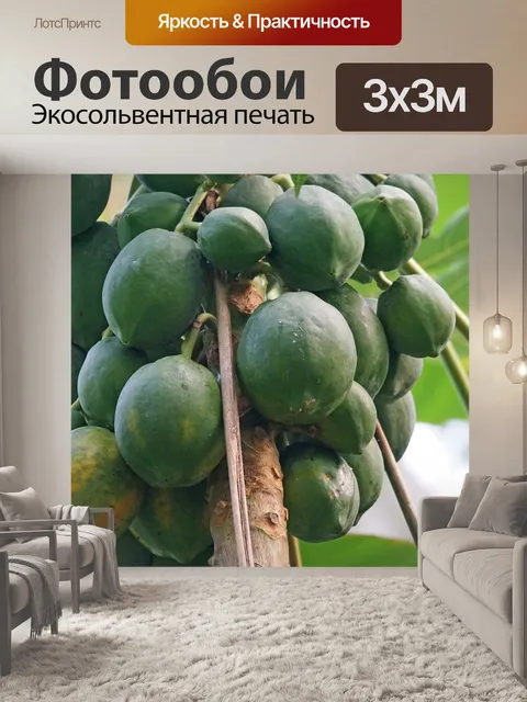 Фотообои Папайя