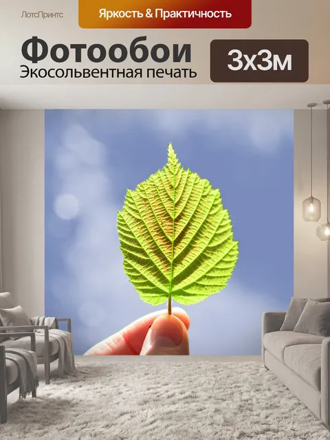 Фотообои Лист против голубого неба
