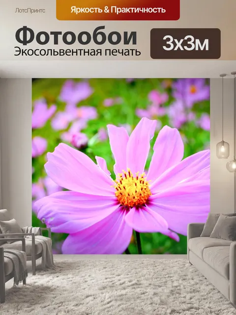 Фотообои Цветочное поле