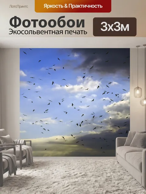 Фотообои Птицы в полете