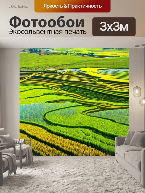 Фотообои утро, террасированные рисовые поля, переливающиеся под утренним светом