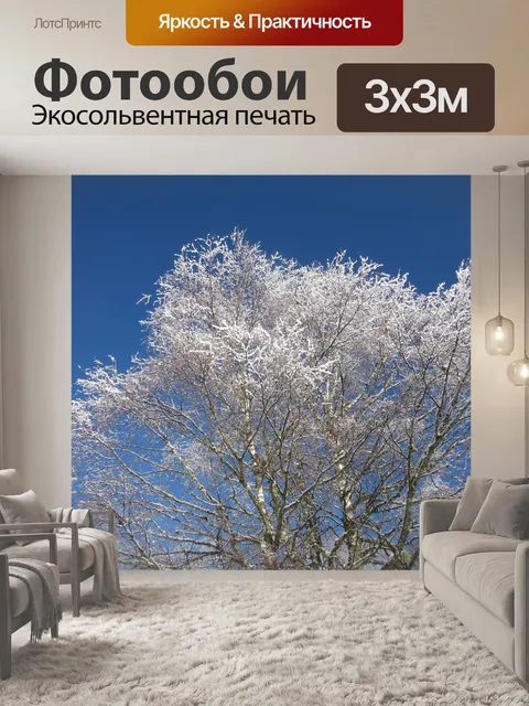 Фотообои Березовые ветки