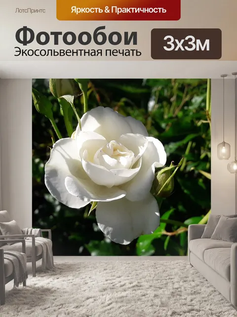 Фотообои Красивая