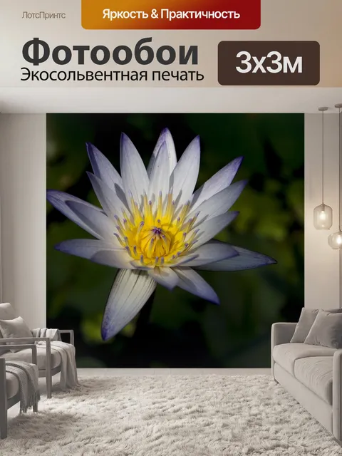Фотообои Цветок