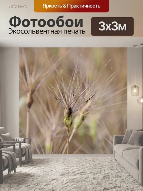 Фотообои Дикие травы