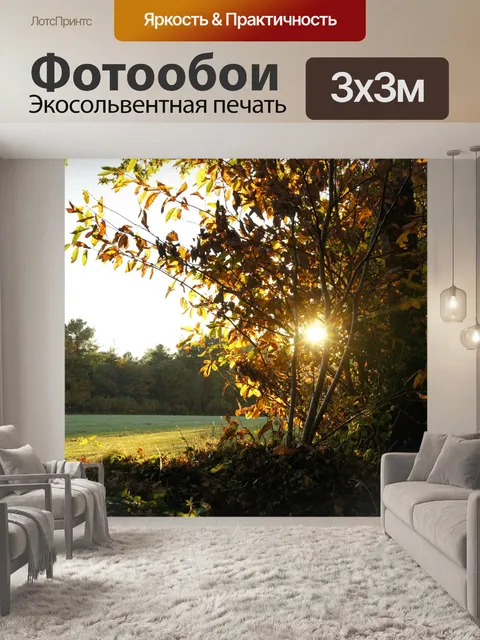 Фотообои Осень