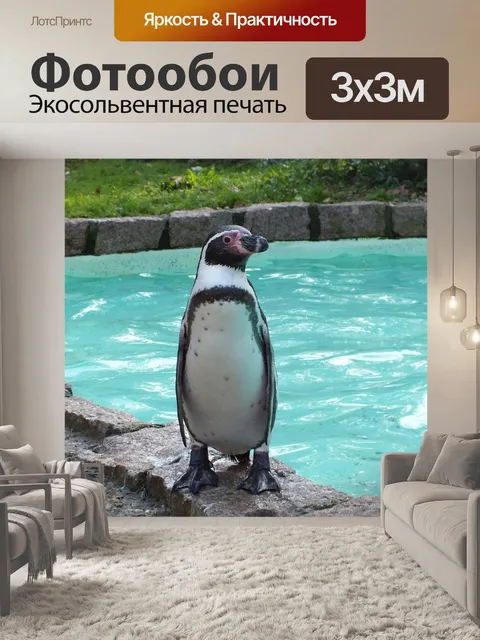 Фотообои Пингвин