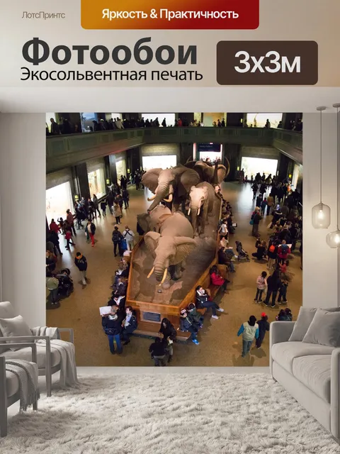 Фотообои Американский музей естественной истории