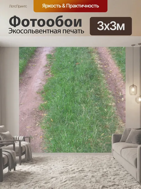 Фотообои Полевой дороге