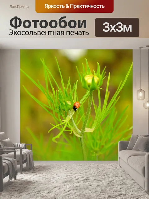 Фотообои Божья коровка