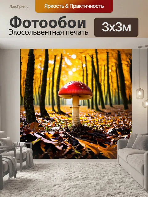 Фотообои поганка с блестящей шляпкой красного цвета изумительно выделяется на фоне осеннего леса