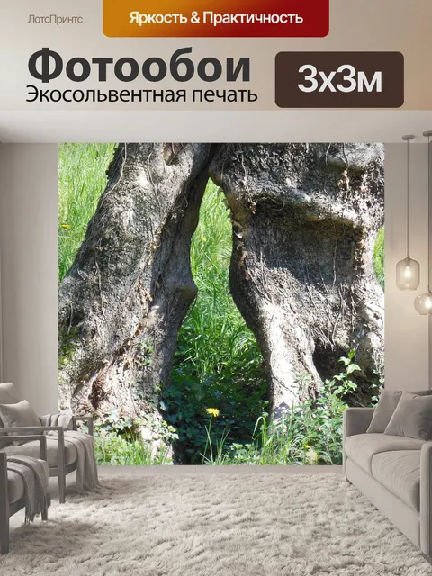Фотообои Оливковое дерево