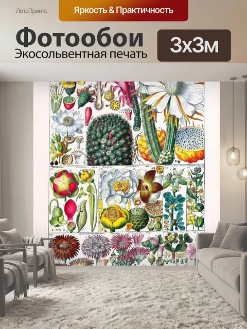Фотообои Винтажное искусство ботаники кактусы