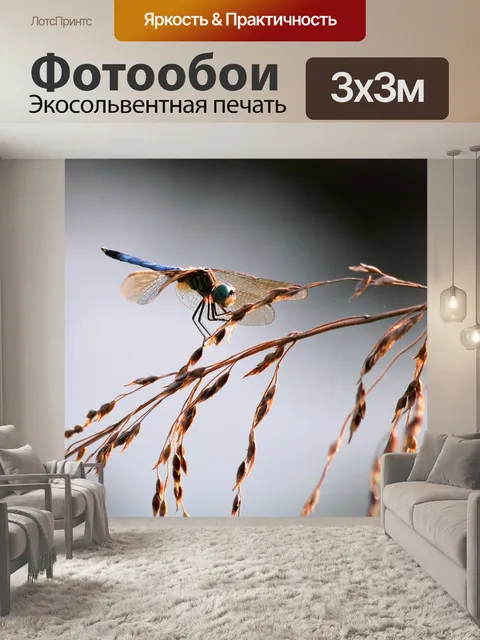 Фотообои Голубая стрекоза на дикой пшеничной трав