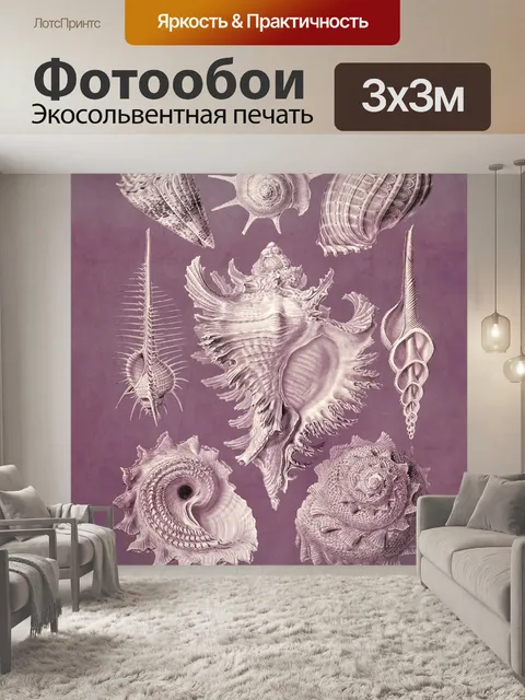 Фотообои Иллюстрация старинных ракушек