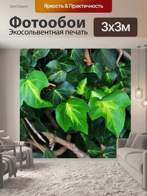 Фотообои яркие листья плюща
