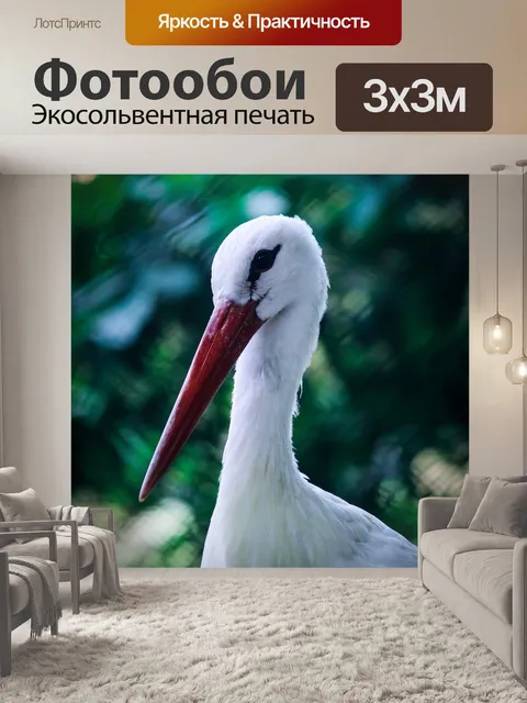 Фотообои Птица