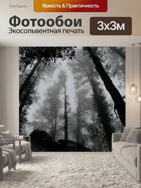 Фотообои Лес