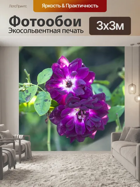 Фотообои Фиолетовые цветы