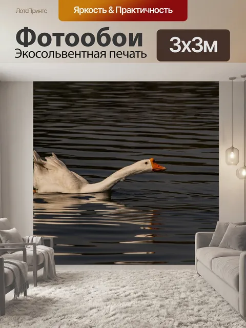 Фотообои Домашний белый гусь