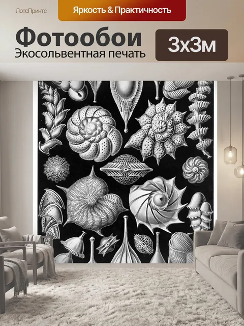 Фотообои Старинный старый Эрнст Геккель
