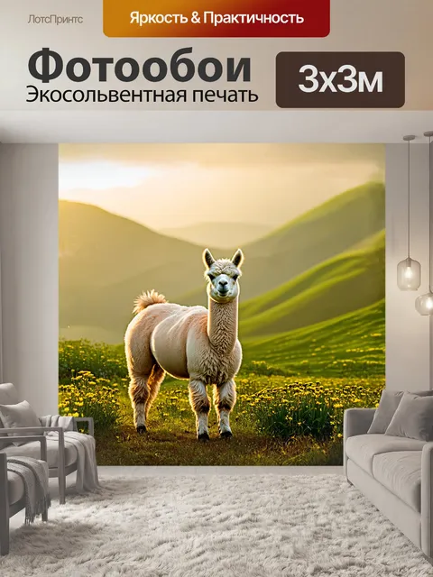 Фотообои в туманном андском рассвете